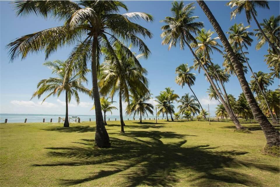 Paraiso Carneiros